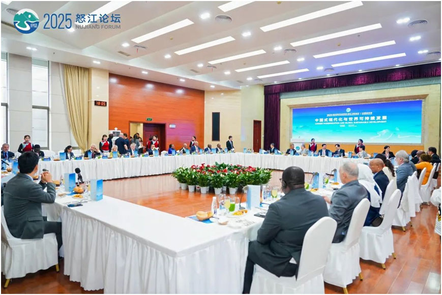 郭卫民会长应邀出席2025怒江论坛“中国式现代化与世界可持续发展”大使圆桌对话