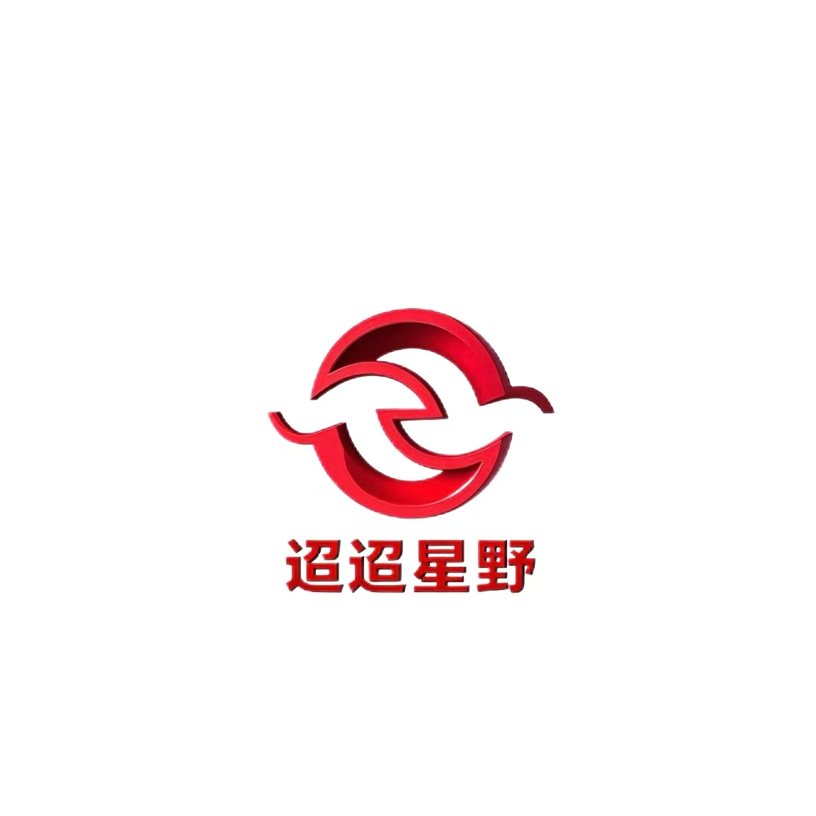 山东迢迢星野网络科技有限公司